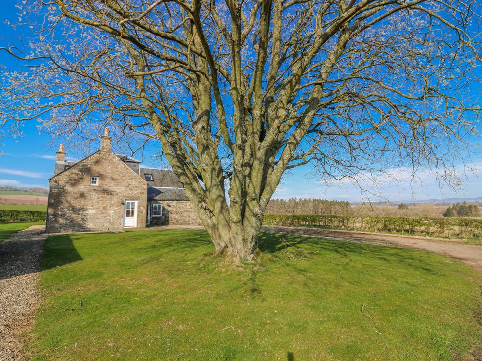 A house with a large tree and grass at Meadowgreen Farmhouse in Forfar