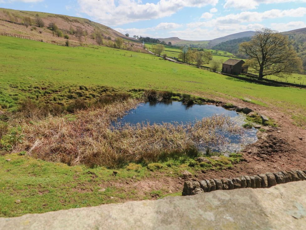 A pond surrounded by grass and hills at Pearls Farm One in Wildboarclough near Macclesfield