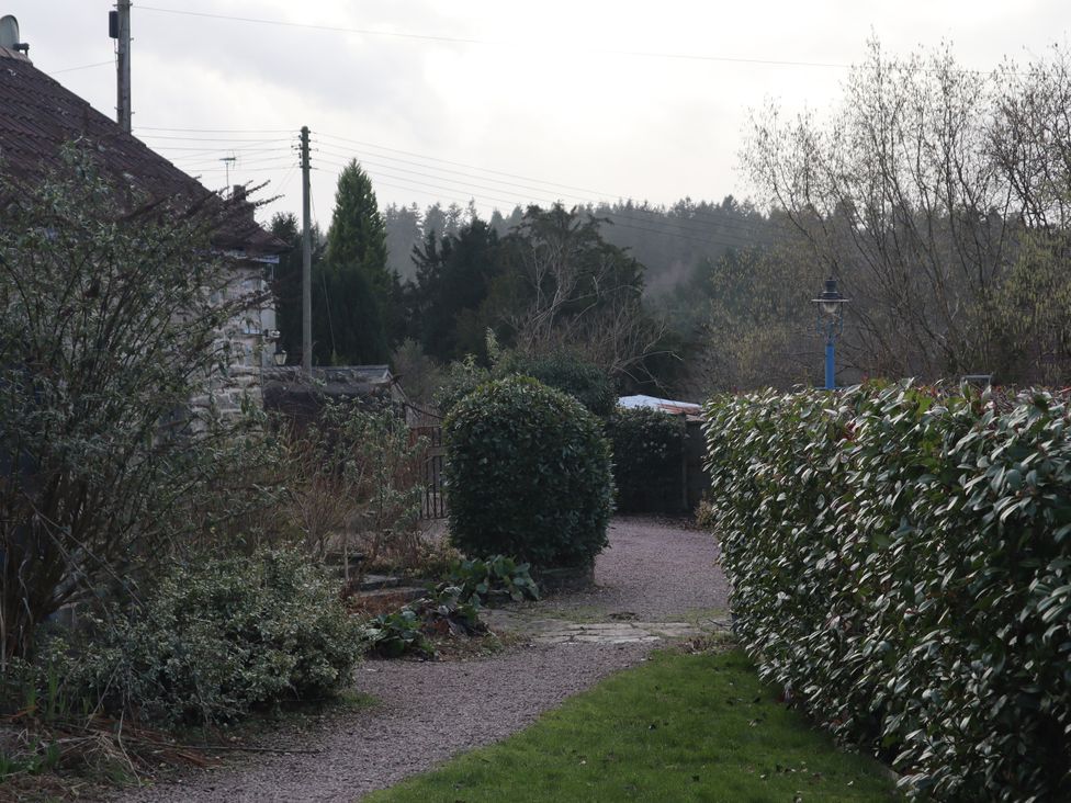 A garden with a path and hedges at Castle Rag in Parkend