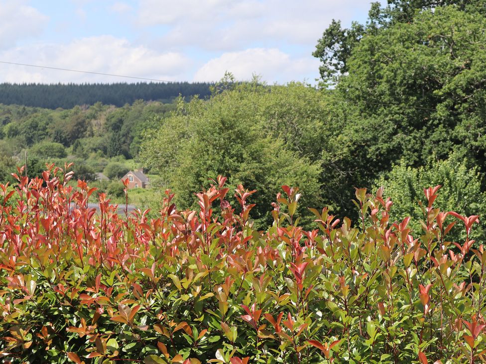 A view of plants and a house surrounded by trees at Castle Rag in Parkend