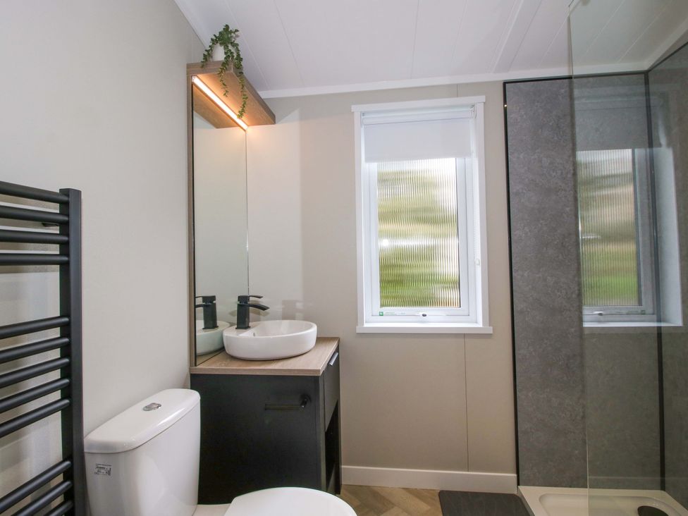 A bathroom with a sink, toilet, and shower at Tulip in Eardisland