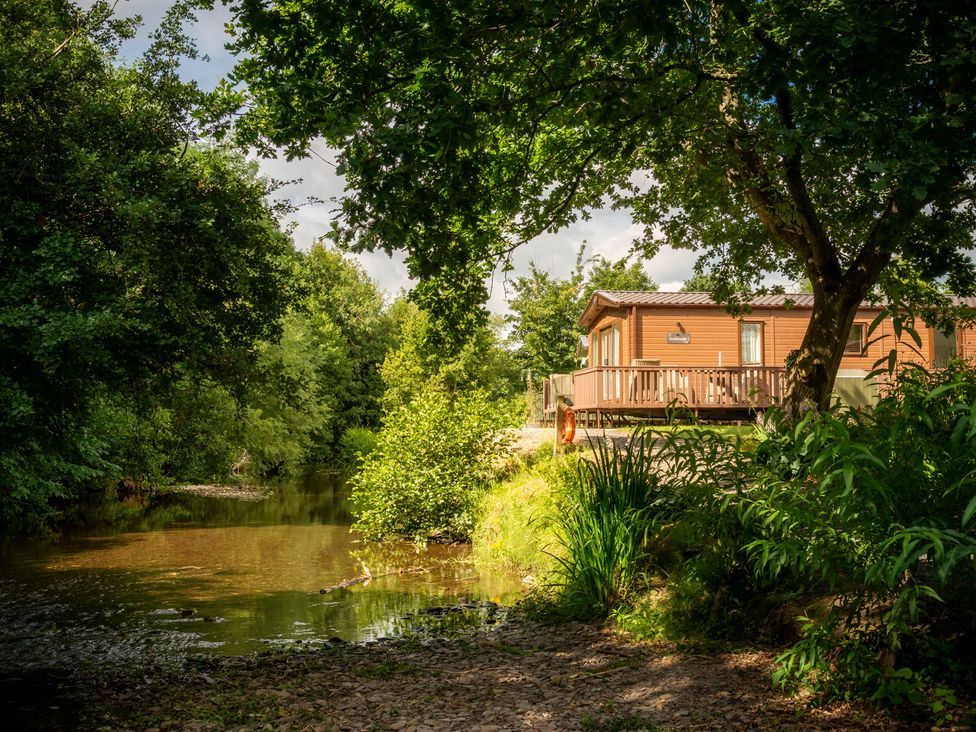 A cabin by the river surrounded by trees at Tulip in Eardisland