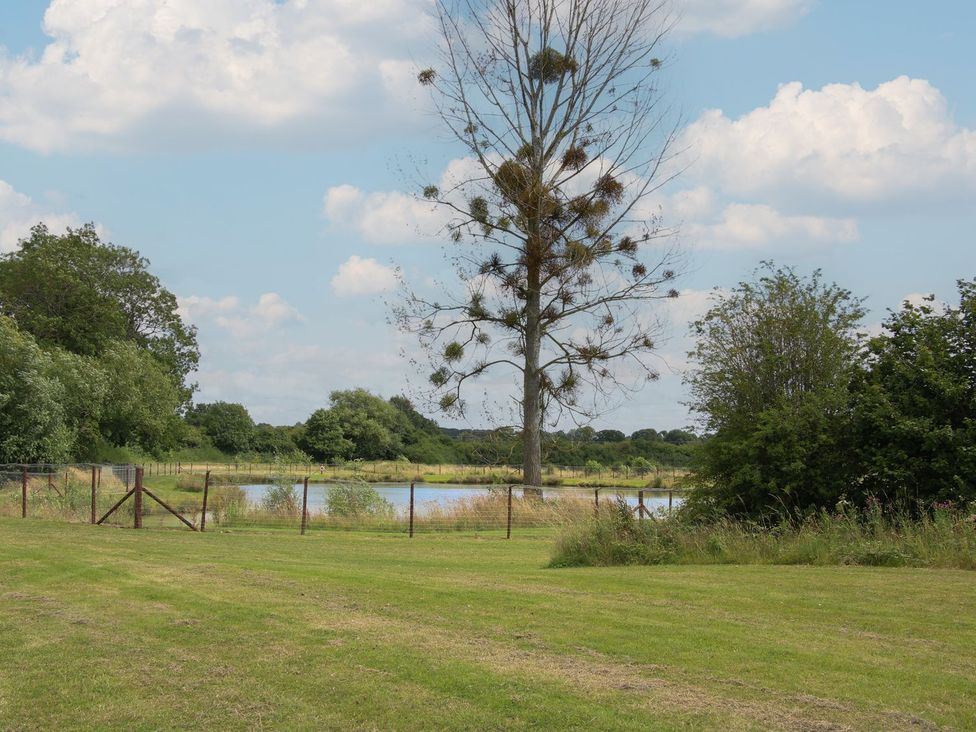 A view of a tree and a pond with a fence at Poppy in Eardisland