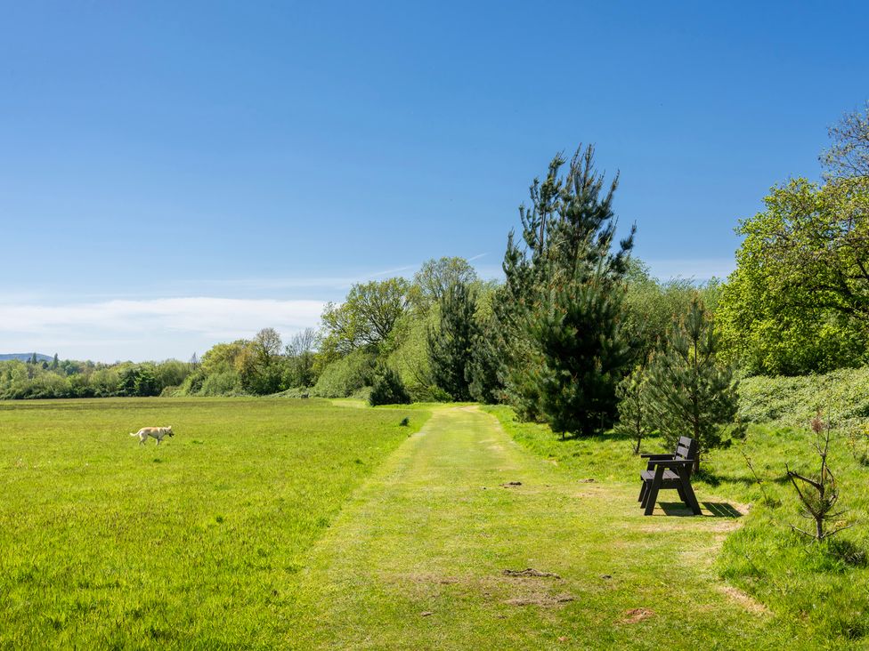A path with a bench and dog in a grassy area at Poppy Eardisland