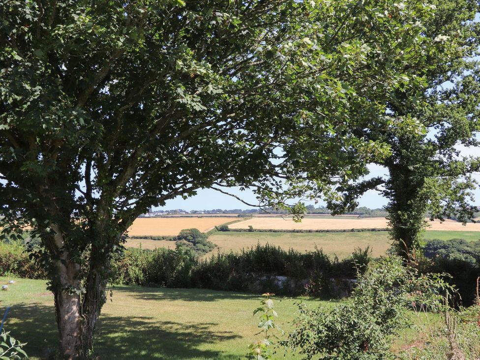 A view of a field with a tree at The Forge in Falmouth