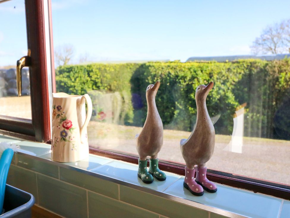 A kitchen with a jug and decorative ducks on a windowsill at Thadg and Hannah’s Miltown