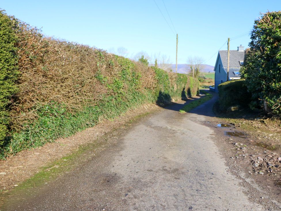 A rural road with hedges and a house at Thadg and Hannah’s in Miltown