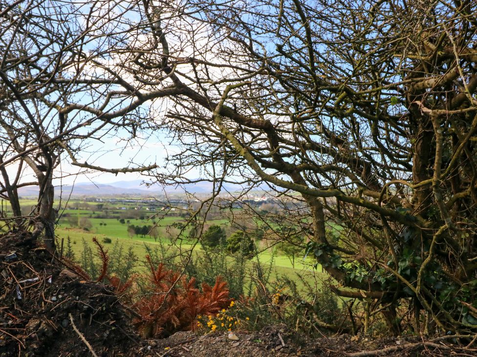A view through trees over a green landscape at Thadg and Hannah’s in Miltown