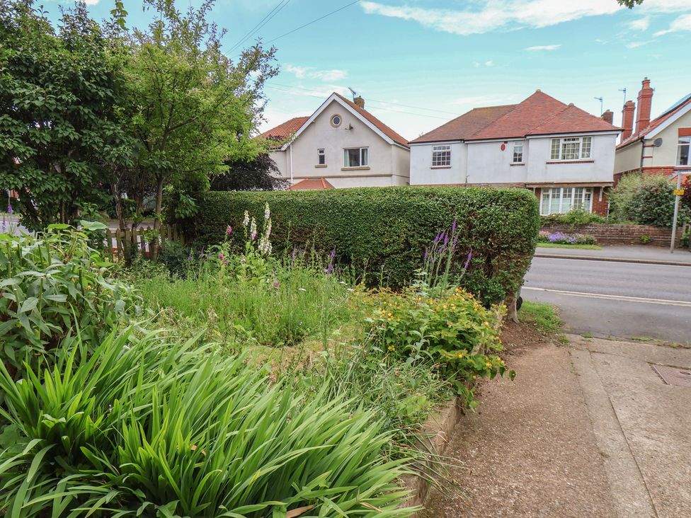 A garden with plants and a hedge at 44 Love Lane in Whitby