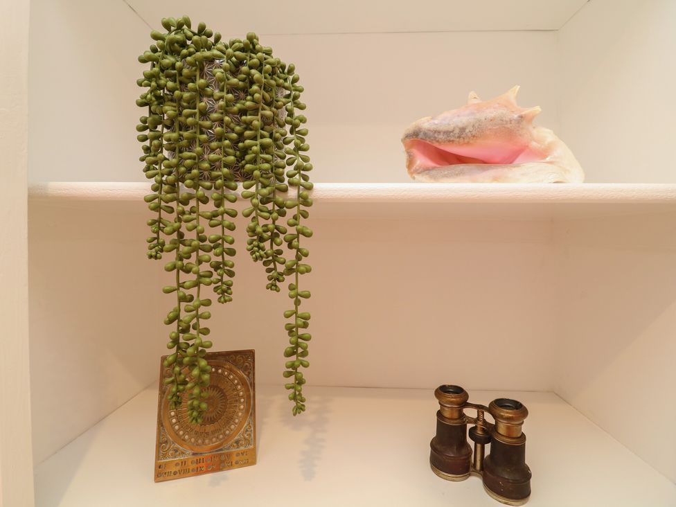 A shelf with a plant, a shell, a decorative item, and binoculars at Tower Cottage Nottingham