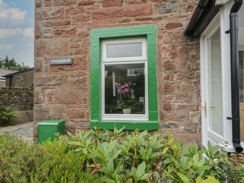 A window with a plant outside Yewbarrow in Seascale