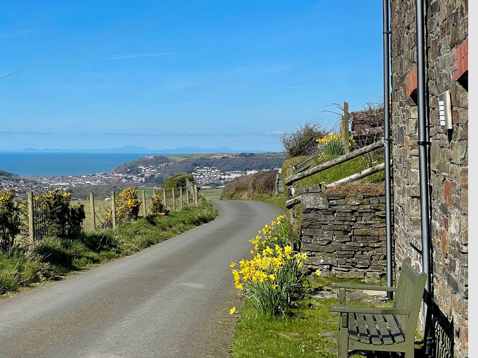 A road with yellow flowers and a bench at Penpegws near Aberystwyth