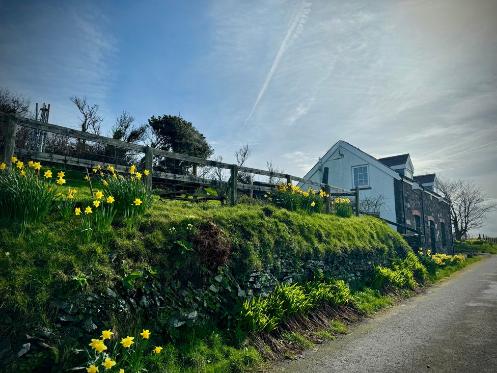 A house with a fence and daffodils on a hill near Penpegws near Aberystwyth