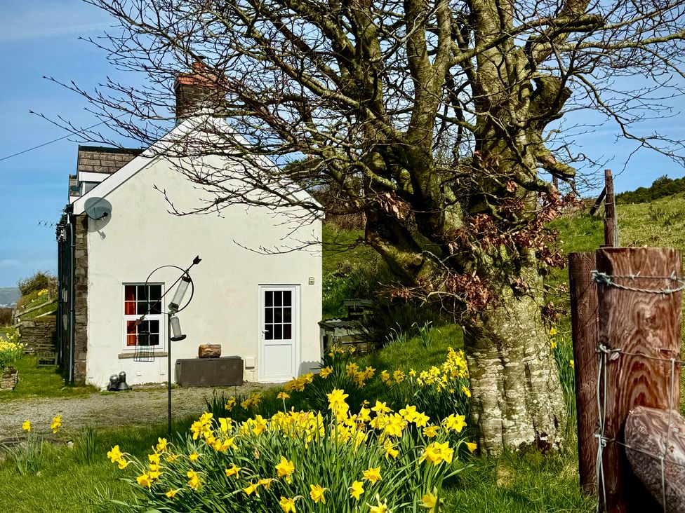 A house surrounded by flowers and a tree at Penpegws near Aberystwyth