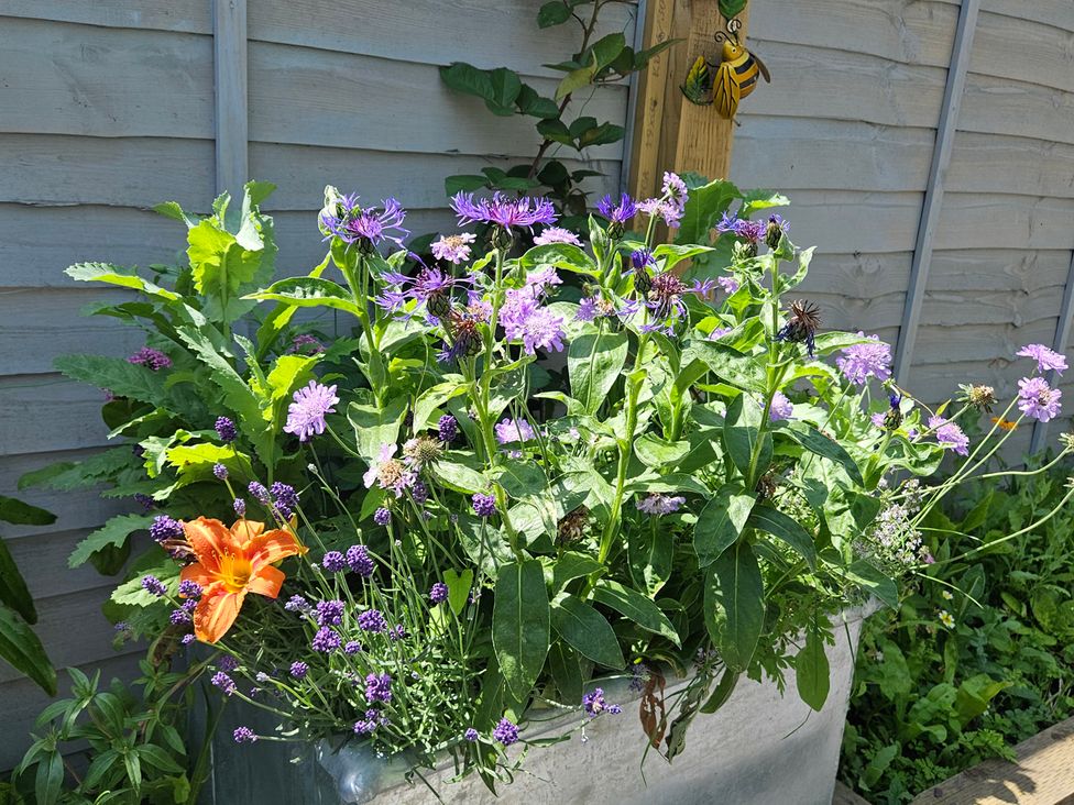 A planter with flowers and greenery at Katie's Cottage in Church Stretton