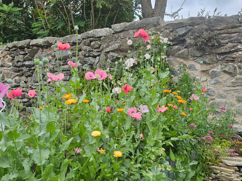 A flower garden with a stone wall at Katie's Cottage in Church Stretton