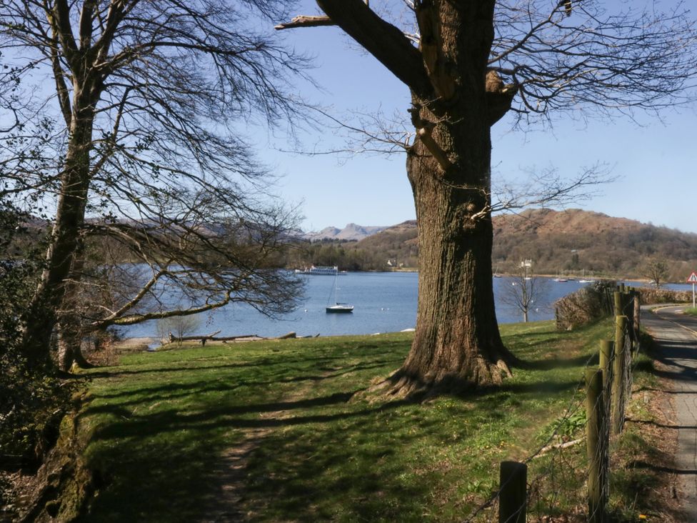 A lake with a tree and mountains in the background at 8 Railway Cottages Ulverston
