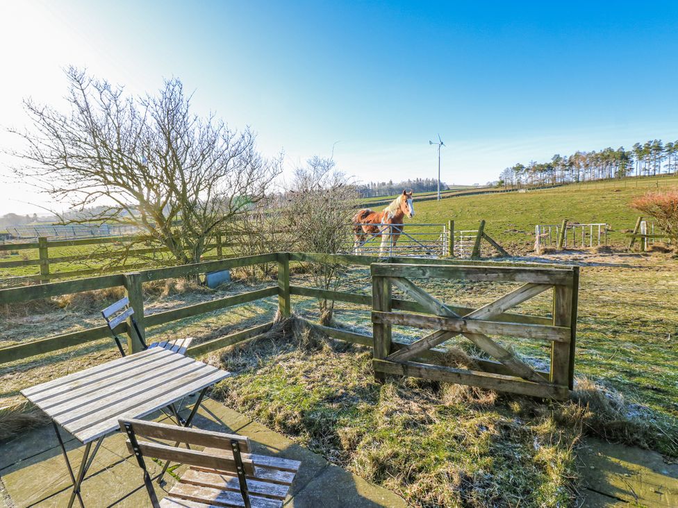 A table and chair with a horse in the background at Dove Cottage in Hexham