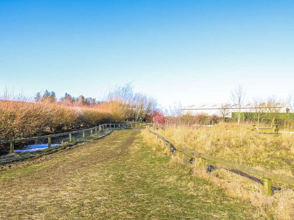 A path lined with bushes and a fence at Dove Cottage in Hexham
