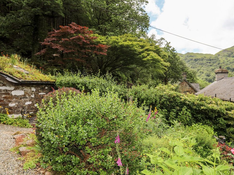 A garden with bushes and flowers at Llys Elen in Caernarfon
