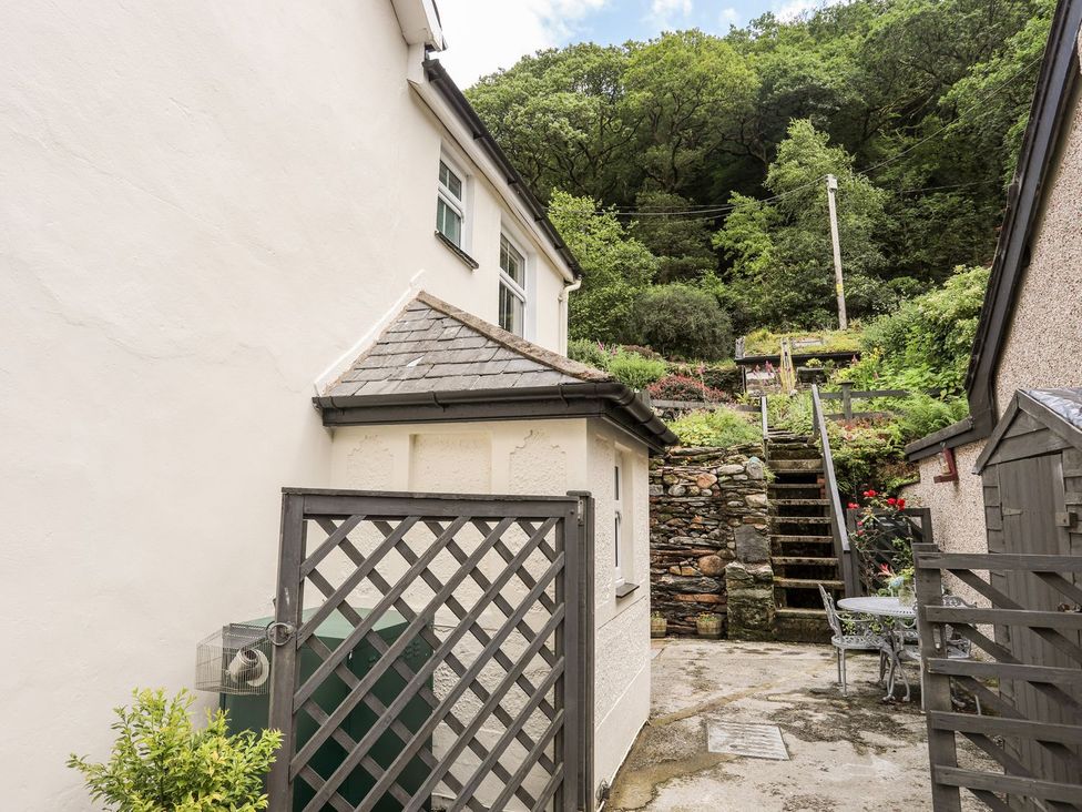 An outdoor area with steps leading to a garden at Llys Elen in Caernarfon