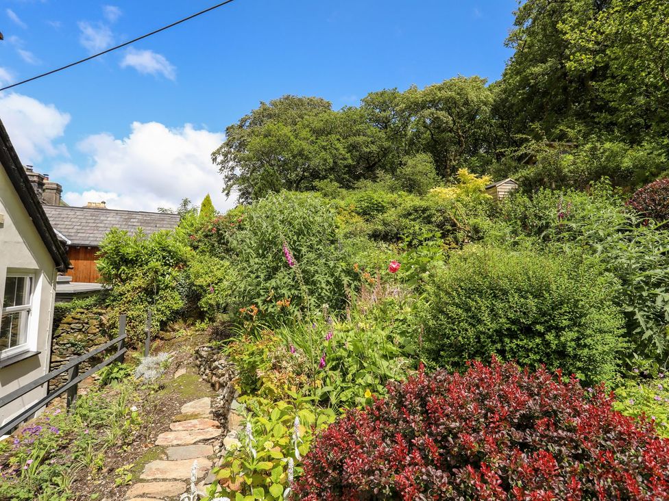 A garden with plants and a stone pathway at Llys Elen in Caernarfon