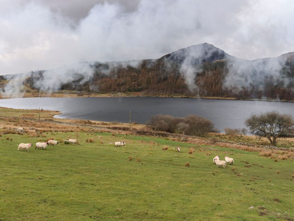 A landscape with sheep by a lake and mountains at Llys Elen in Caernarfon