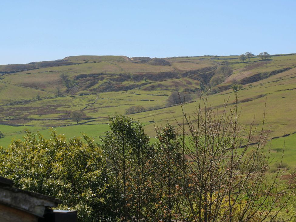 A view of hills and trees at Rocks Cottage Halifax
