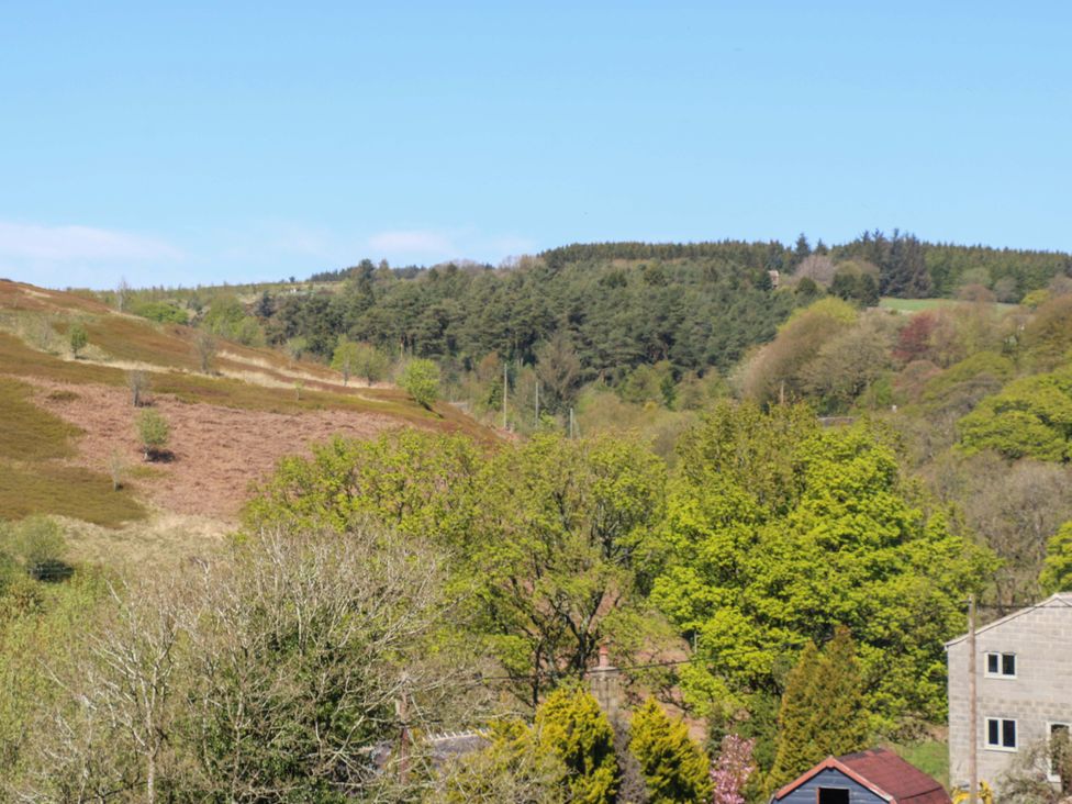 A view of hills and trees in a countryside at Rocks Cottage Halifax