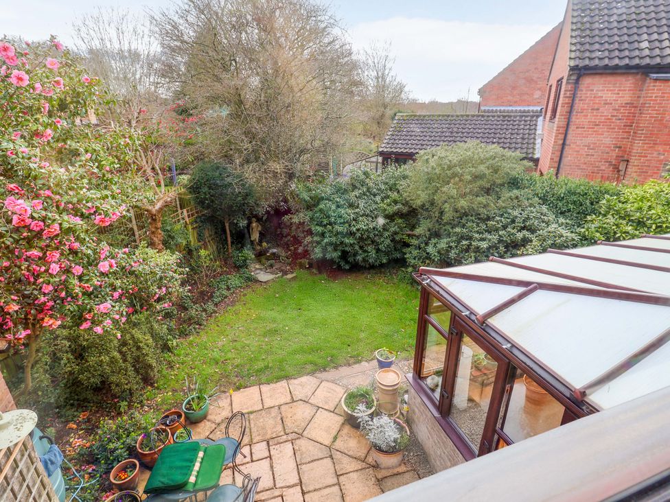 A garden with plants and a patio at 17 Demesne Gardens, Ipswich