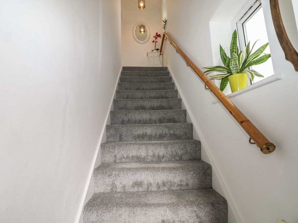 A staircase with a handrail and a plant at The Annex in Slough