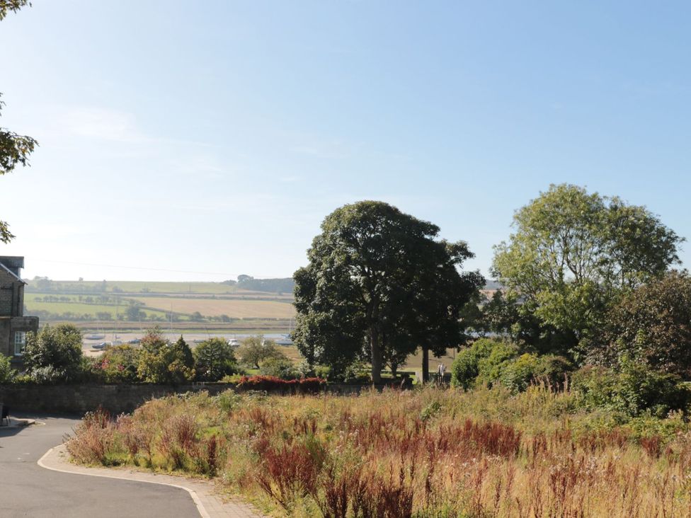 A view of a landscape with trees and grass at The Sea Chest in Alnmouth