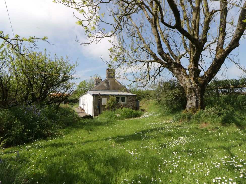 A house surrounded by grass and trees at Rhos Y Clegyrn in Goodwick