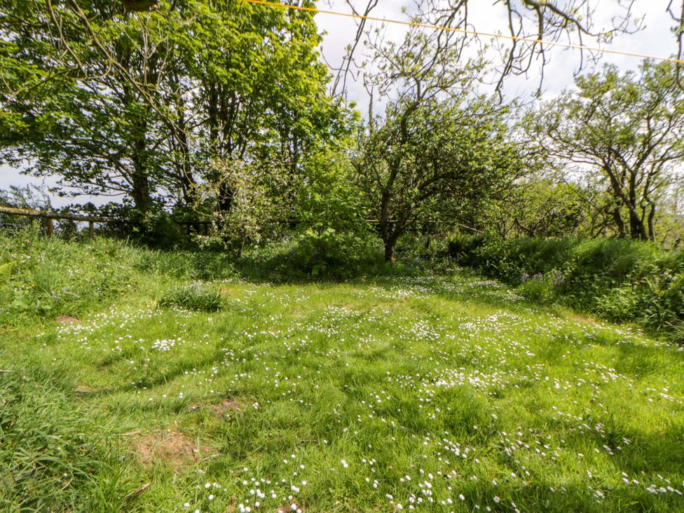 A garden with grass and trees at Rhos Y Clegyrn in Goodwick