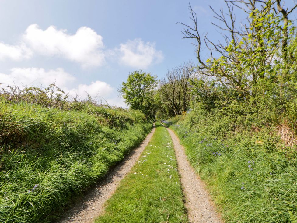 A pathway surrounded by grass and trees at Rhos Y Clegyrn in Goodwick