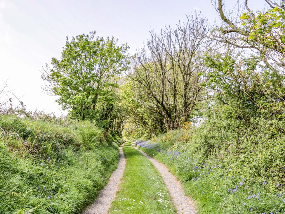 A pathway bordered by trees and grass at Rhos Y Clegyrn in Goodwick