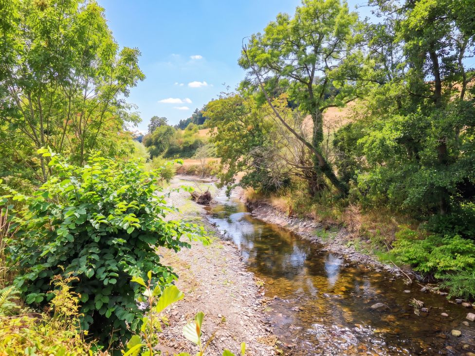 A river with trees and bushes along the bank at Bridge Farm Pontyblew near Chirk