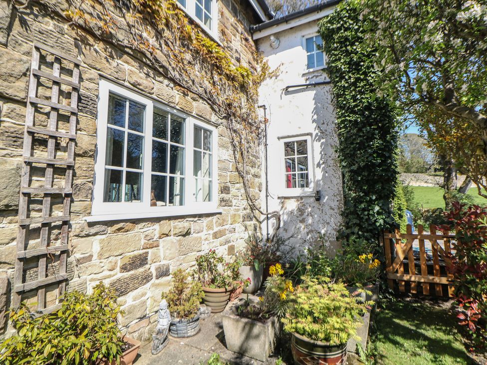 Exterior view of a cottage with plants and windows at Pine Cottage