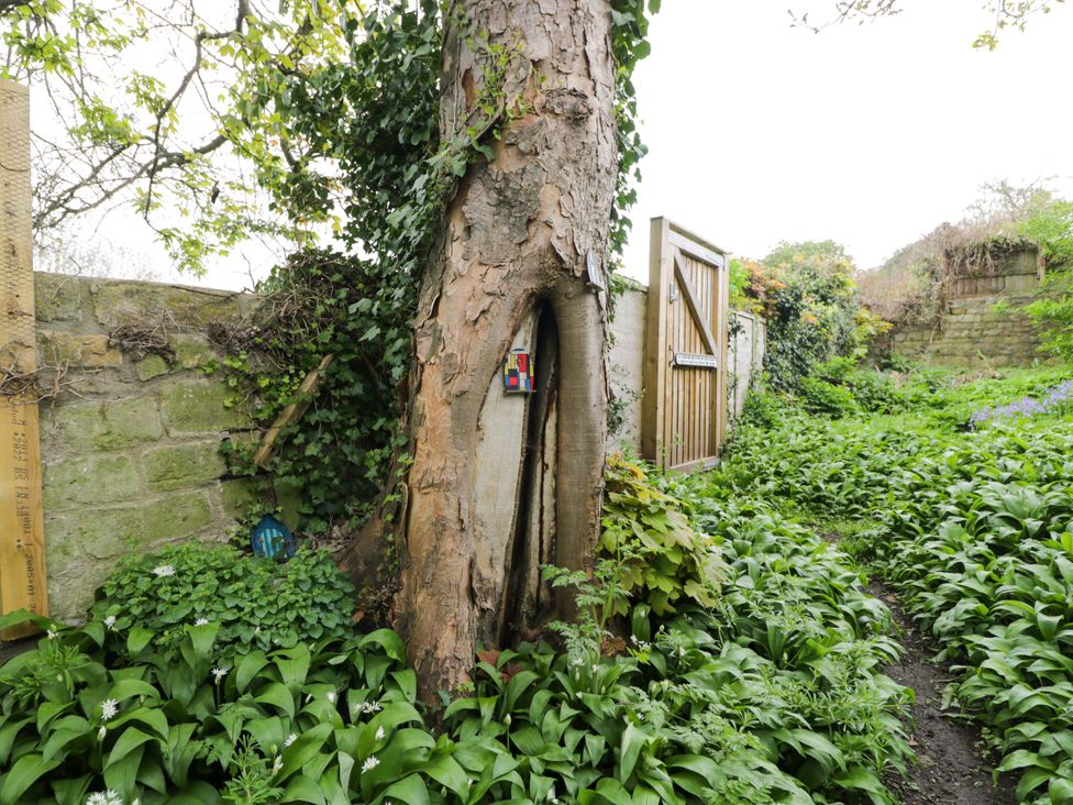 A garden with a tree and a wooden gate at Highbury in Bath