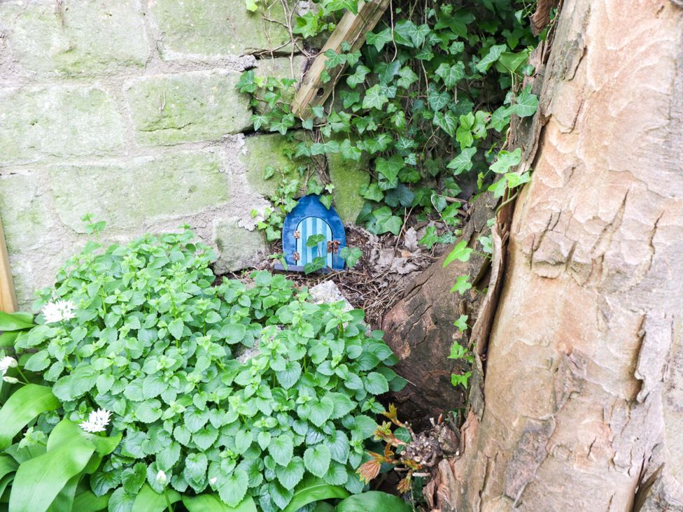 A small blue door in a garden surrounded by plants and a tree trunk at Highbury in Bath