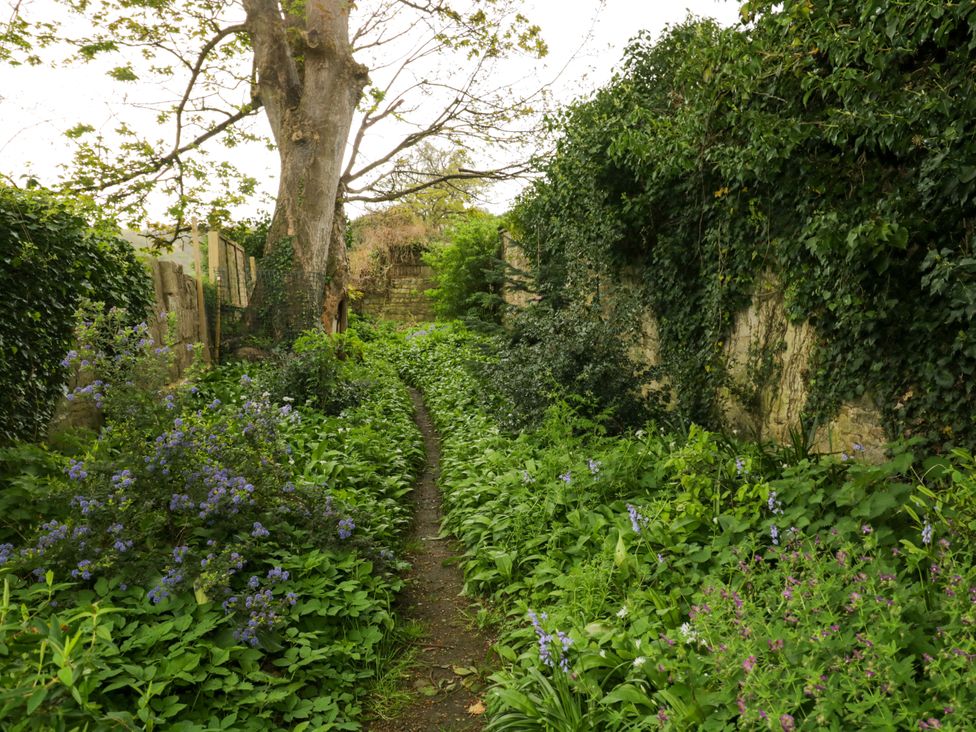 A garden path surrounded by greenery and flowers at Highbury in Bath