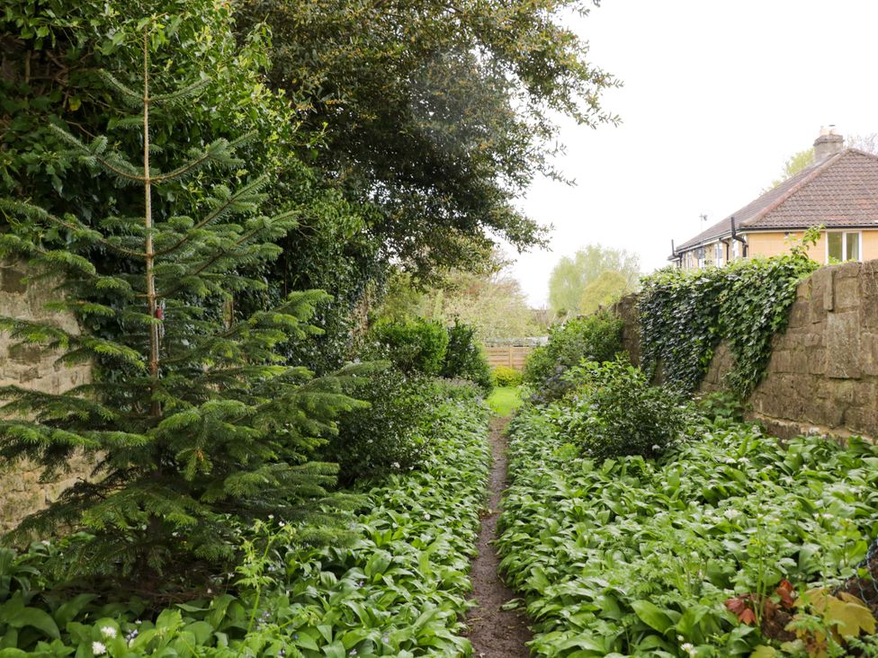 A garden pathway bordered by bushes and trees at Highbury in Bath