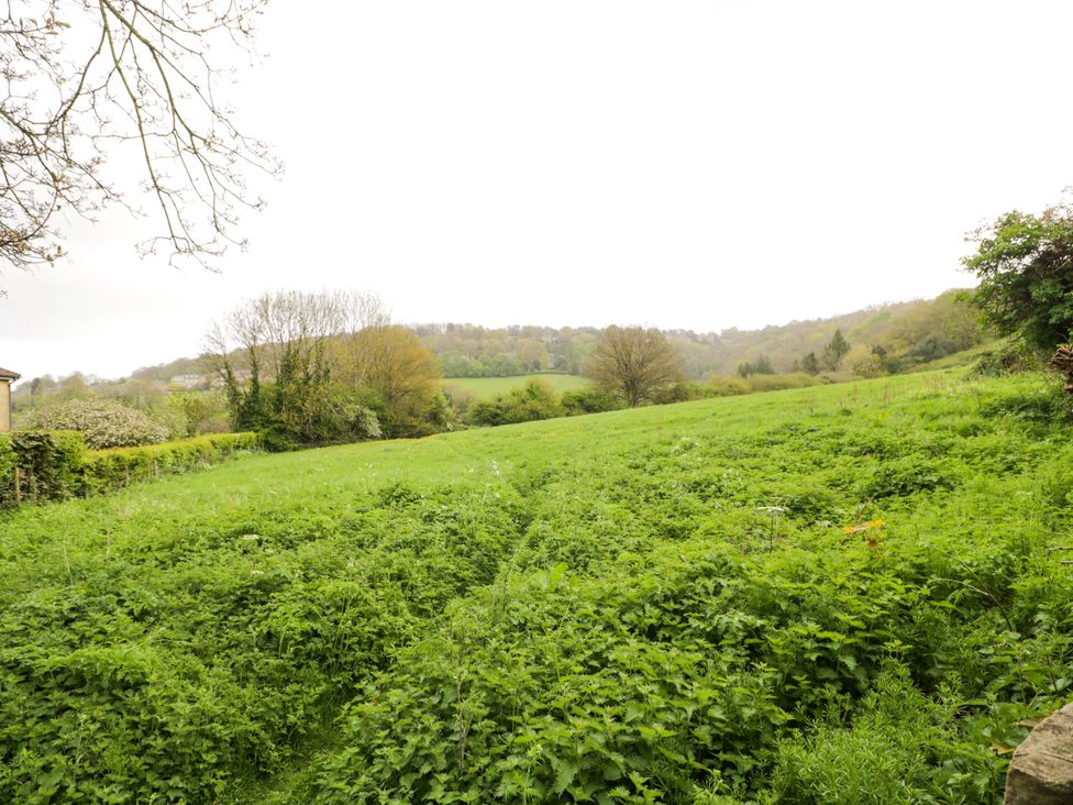 A green field with trees and hills at Highbury in Bath