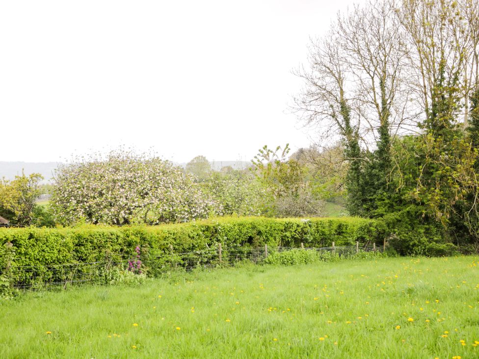 A garden with grass and trees at Highbury in Bath