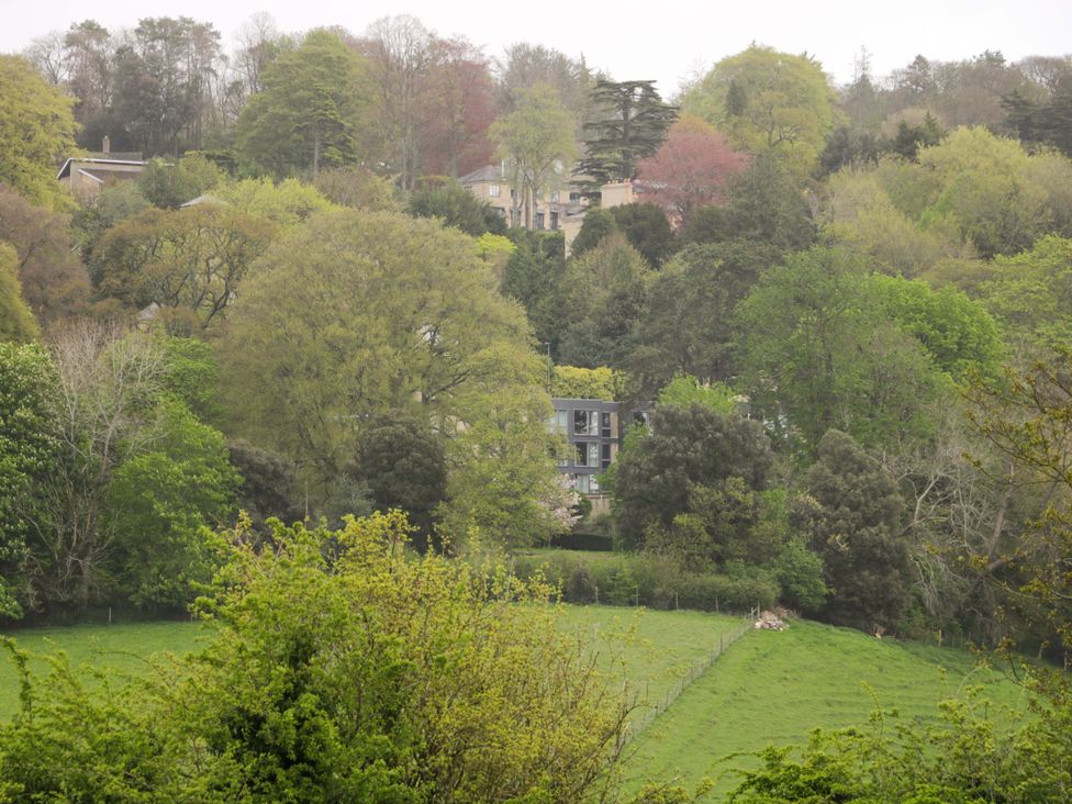 A view of trees and houses surrounding a field at Highbury in Bath