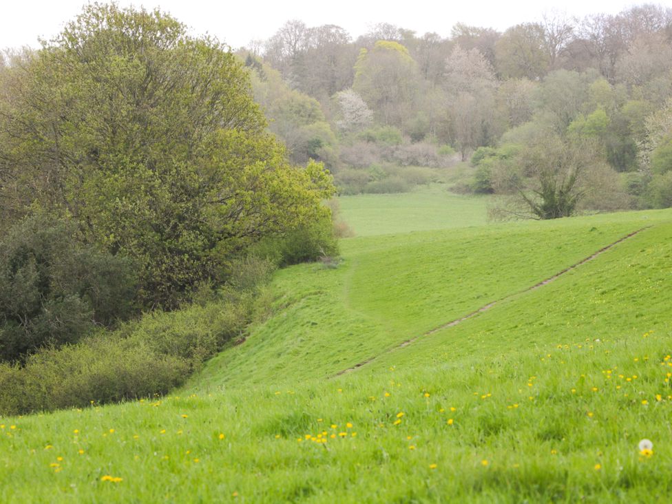 A landscape with grass and trees in a field at Highbury in Bath
