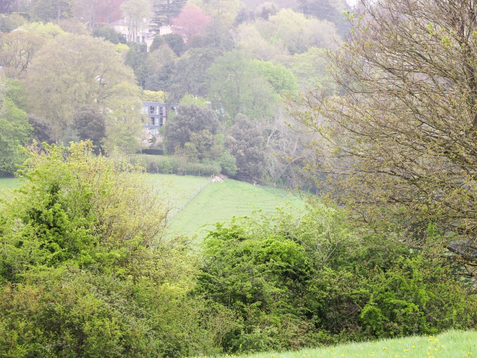 A view of trees and a house in the distance at Highbury in Bath