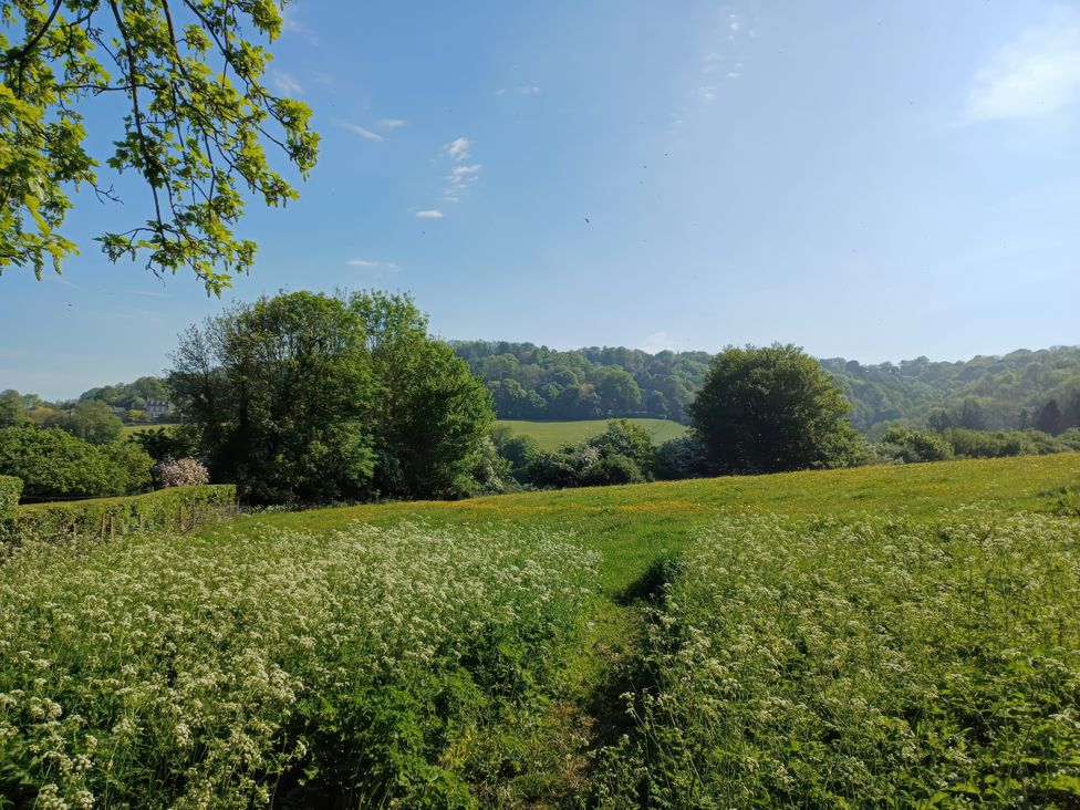 A view of trees and a field under a clear sky at Highbury in Bath