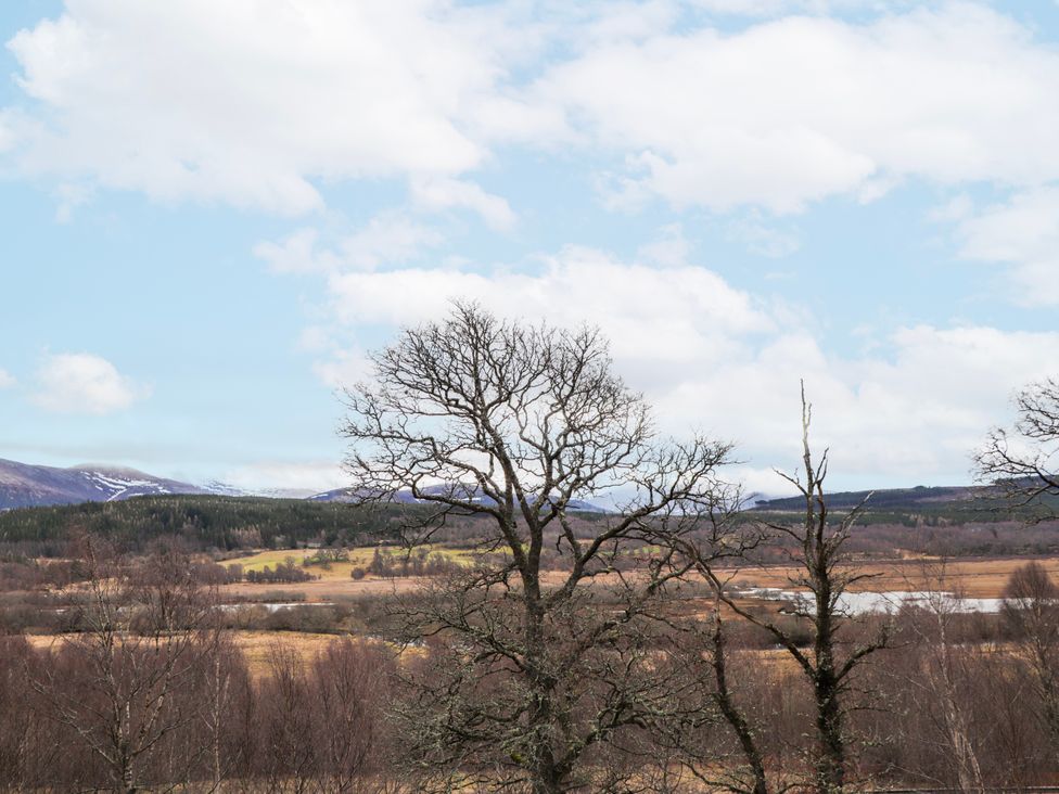 A view featuring trees and mountains at Islay Cottage in Kincraig