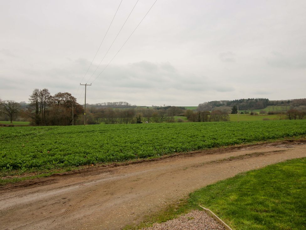 A field with a dirt road and power lines at The Blacksmiths Shop